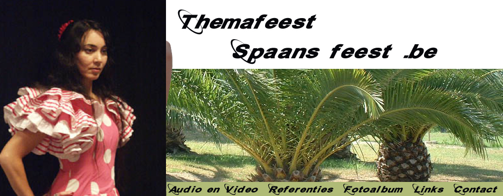 themafeest spaans feest